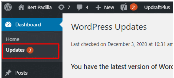 Updating WordPress Plugins and Themes