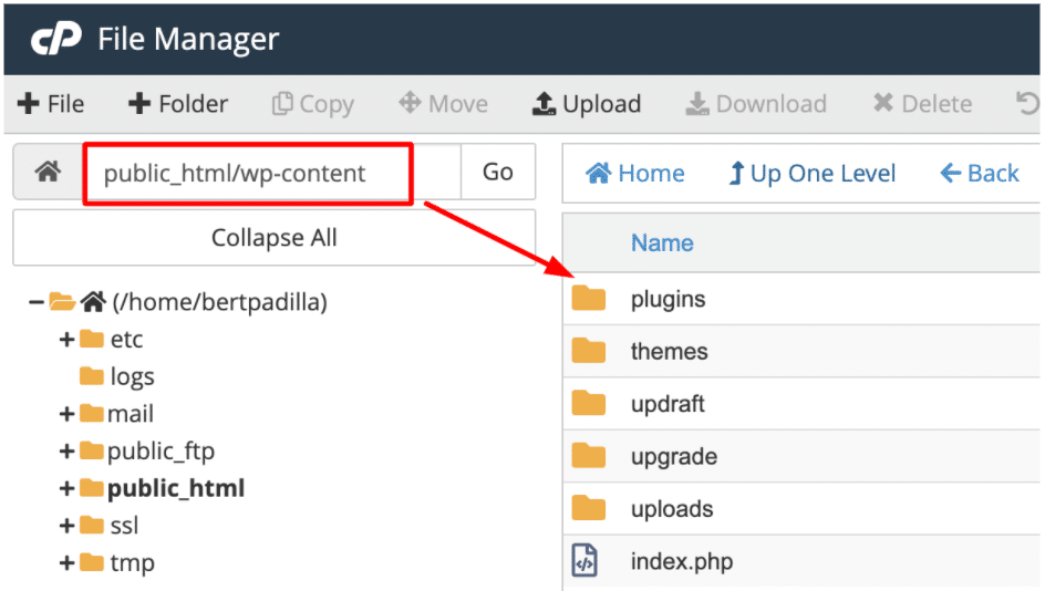 cPanel File Manager Plugins
